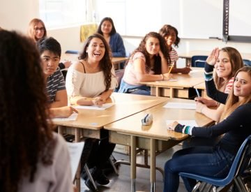 The careers and skills of teachers in the Netherlands